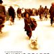 photo du film Chiens égarés