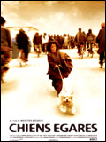 Chiens égarés