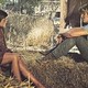 photo du film Une fille nommée Lolly Madonna