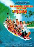 Les Nouvelles Aventures De La Famille Brady