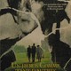 photo du film Un Héros comme tant d'autres