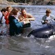 photo du film Sauvez Willy 2