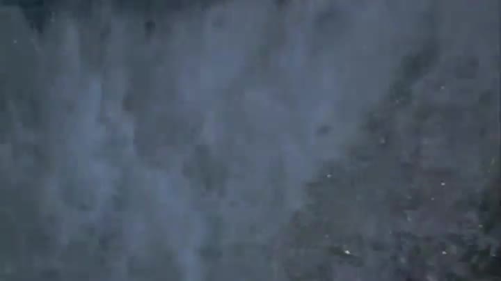 Extrait vidéo du film  Sauvez Willy 2
