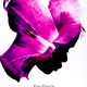 photo du film Diary of a mad black woman