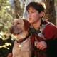 photo du film Compagnons d'aventure