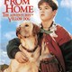 photo du film Compagnons d'aventure