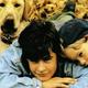 photo du film Compagnons d'aventure