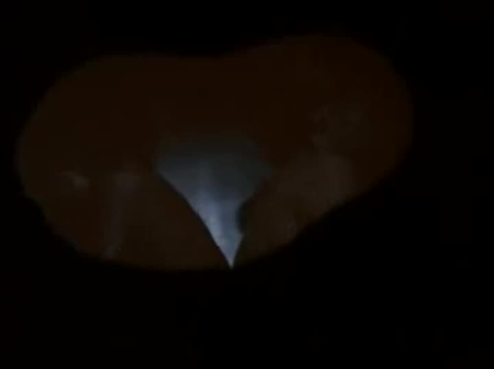 Extrait vidéo du film  Black Mama, White Mama