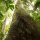 photo du film Il était une forêt