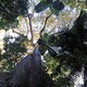 photo du film Il était une forêt