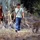 photo du film Le Maître des éléphants