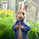 photo du film Pierre Lapin