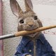 photo du film Pierre Lapin