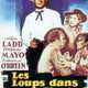 photo du film Les Loups dans la vallée