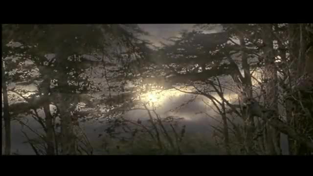 Extrait vidéo du film  Le Seigneur des Anneaux : le Retour du Roi