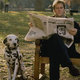 photo du film Les 101 dalmatiens