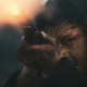 photo du film Utu (redux)