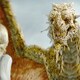 photo du film La Légende de Beowulf