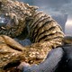 photo du film La Légende de Beowulf