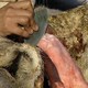 photo du film Atanarjuat, la légende de l'homme rapide