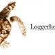 photo du film Loggerheads