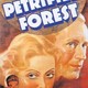 photo du film La Forêt pétrifiée