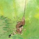 photo du film La Honte de la jungle