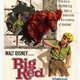photo du film Compagnon d'aventures