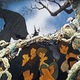 photo du film Le Seigneur des Anneaux