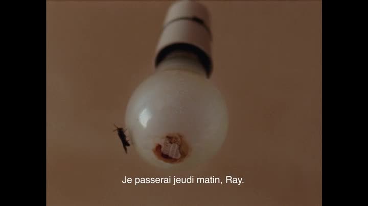 Extrait vidéo du film  Ray & Liz