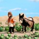 photo du film Vent de folie à la ferme
