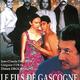 photo du film Le Fils de Gascogne