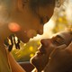 photo du film American Honey