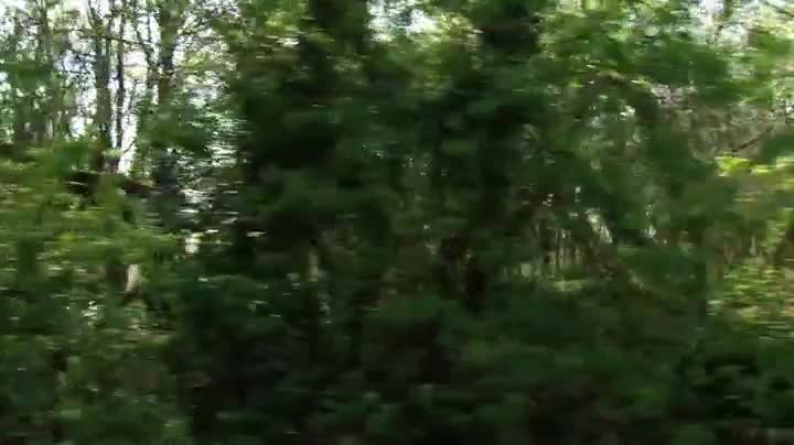 Extrait vidéo du film  Le Dernier continent
