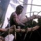 photo du film Predator