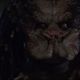 photo du film Predator