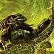 photo du film Predator