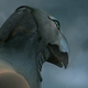 photo du film Immortel (ad vitam)