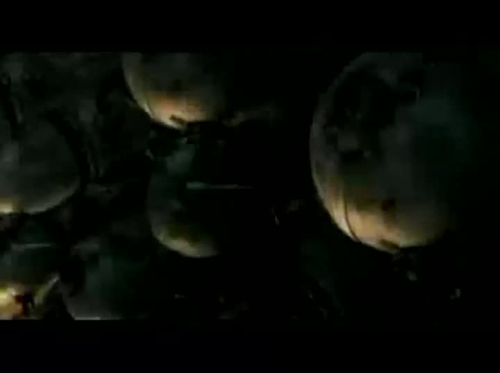 Extrait vidéo du film  Immortel (ad vitam)