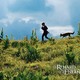photo du film Le renard et l'enfant