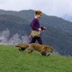 photo du film Le renard et l'enfant