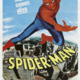 photo du film L'Homme araignée