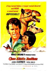 voir la fiche complète du film : Un Petit Indien
