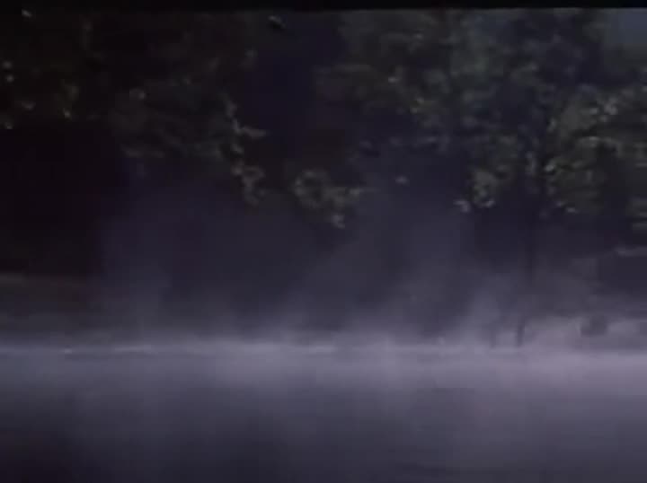 Extrait vidéo du film  Nell