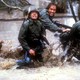 photo du film Sans retour