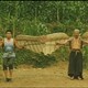 photo du film Bird people in China