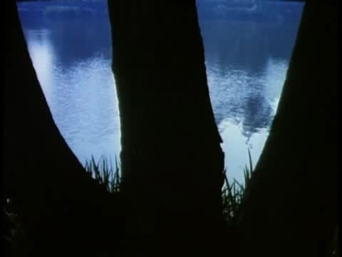 Extrait vidéo du film  Leatherface : Texas Chainsaw Massacre III