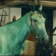 photo du film La Jument verte