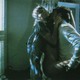 photo du film Risky business