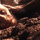 photo du film X-Men Origins : Wolverine